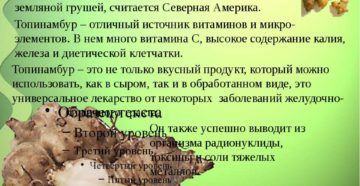 Топинамбур листья польза и вред рецепты приготовления