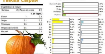 Тыква польза и вред для организма калорийность