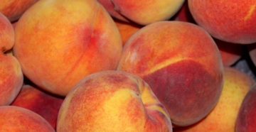 Персик польза и вред для женщин