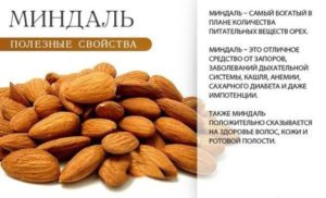 Миндальные орехи польза и вред для организма сколько нужно съесть