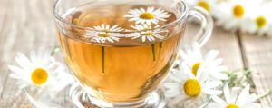 Чай из цветков ромашки польза и вред