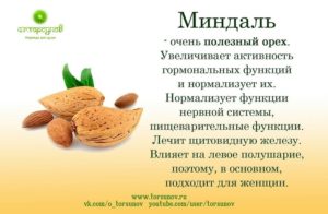 Миндальный орех польза и вред для организма