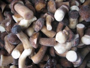 Замороженные грибы польза и вред