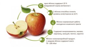 Яблоки польза и вред для организма для женщин