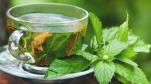 Чай из листьев мяты польза и вред