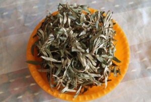 Облепиха листья польза и вред передозировка чая