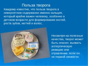 Польза и вред творога для здоровье человека