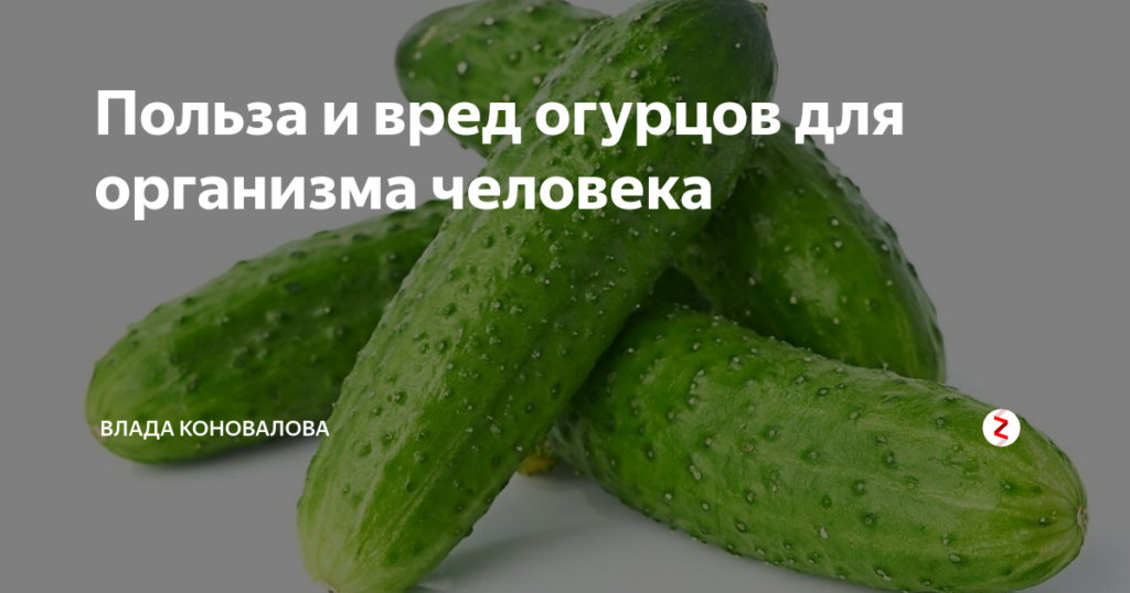 Огурцы польза и вред для организма при похудении