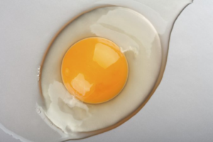 Сырые яйца при гастрите польза и вред