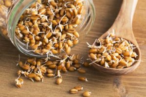 Проростки пшеницы вред и польза и вред