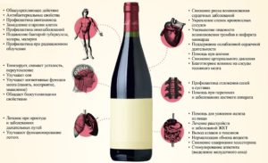 Вино вред и польза для женщин