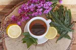 Иван чай для беременных польза и вред