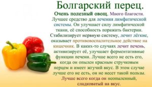 Болгарский перец польза и вред лечебные свойства