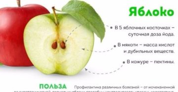 Яблоко польза и вред для мужчин
