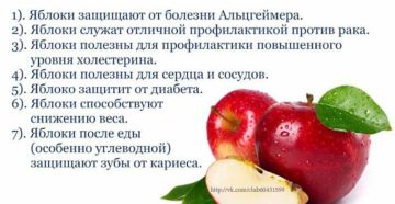 Яблоки польза и вред для женщин
