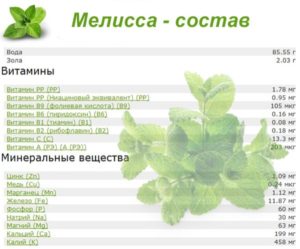 Мелисса польза и вред для здоровья женщины