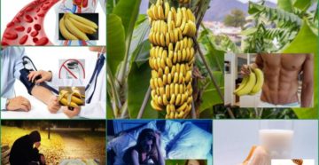 Банан польза и вред для здоровья мужчин