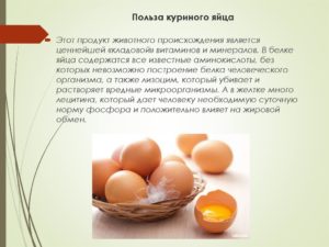 Польза и вред яичных продуктов в питании человека