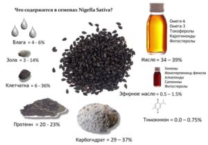 Черный тмин польза и вред как принимать семена