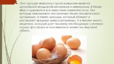 Яйца польза и вред для мужчин