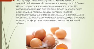 Яйца польза и вред для мужчин
