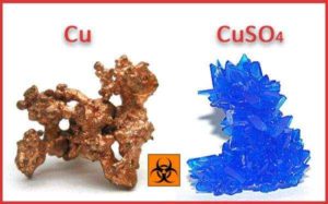 Медный купорос вред и польза и вред