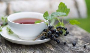 Чай из веток смородины польза и вред