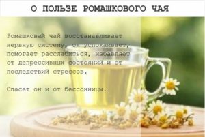 Ромашковый чай для грудничка польза и вред