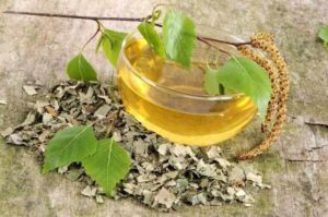 Чай из березовых листьев польза и вред