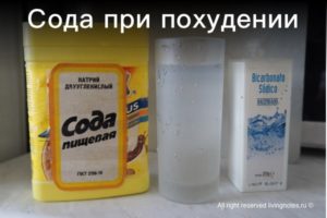 Пищевая сода польза и вред для здоровья для похудения